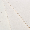 Pasemka bawełniane mini 120*40mm (100)